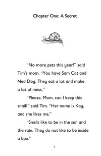 Thumbnail for The Secret Pet: Book 1