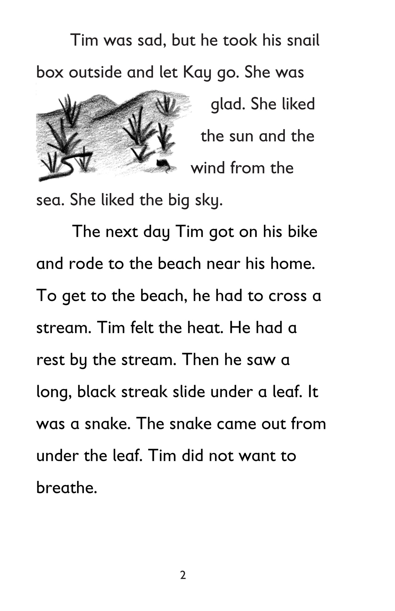 The Secret Pet: Book 1