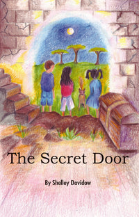 Thumbnail for The Secret Door: Book 2