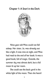 Thumbnail for The Secret Door: Book 2