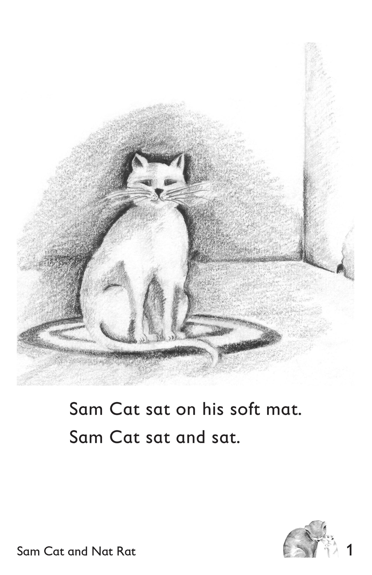 Sam Cat and Nat Rat: Book 1