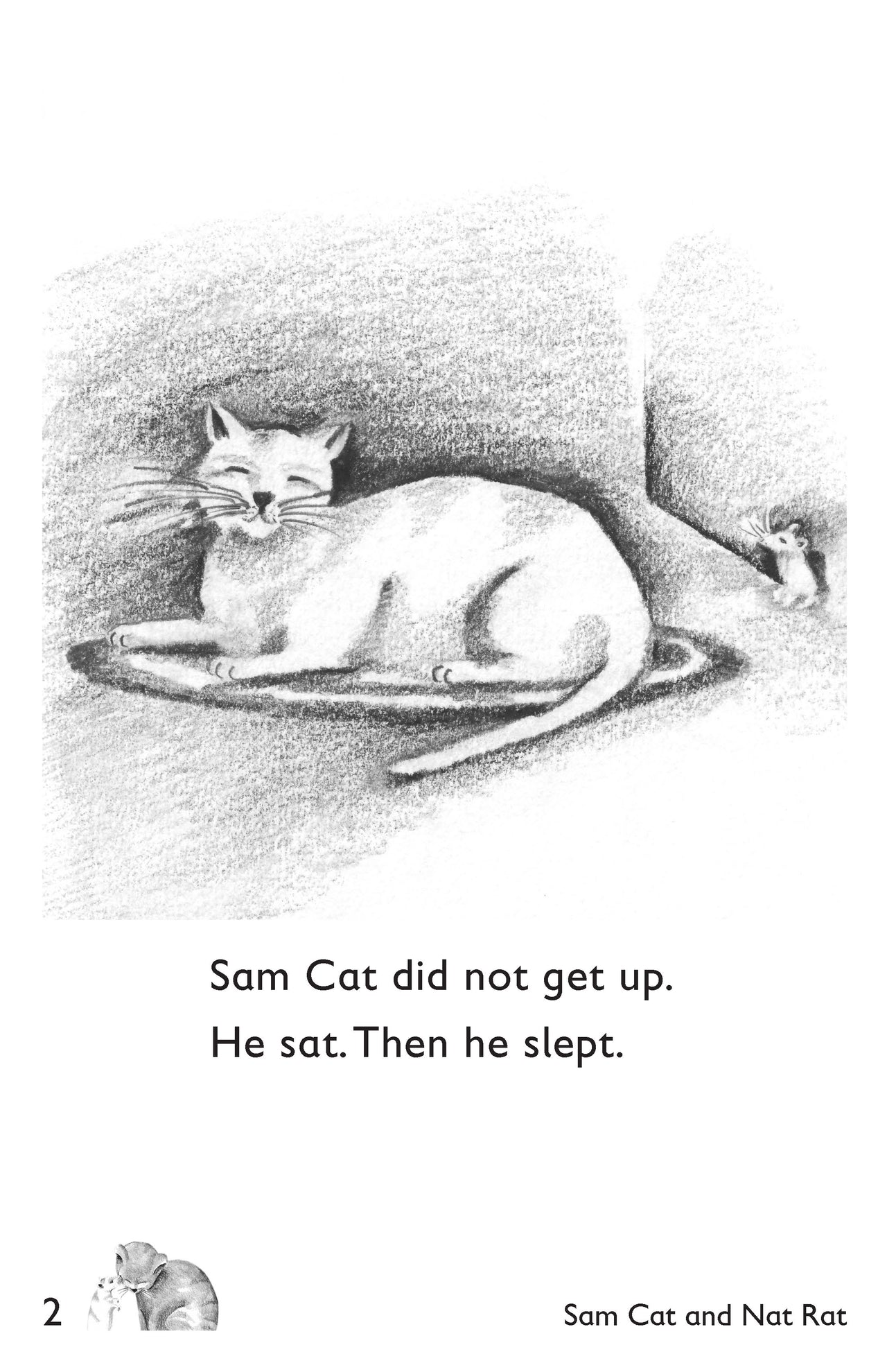 Sam Cat and Nat Rat: Book 1