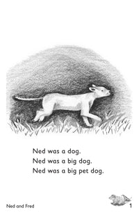 Thumbnail for Ned and Fred: Book 2