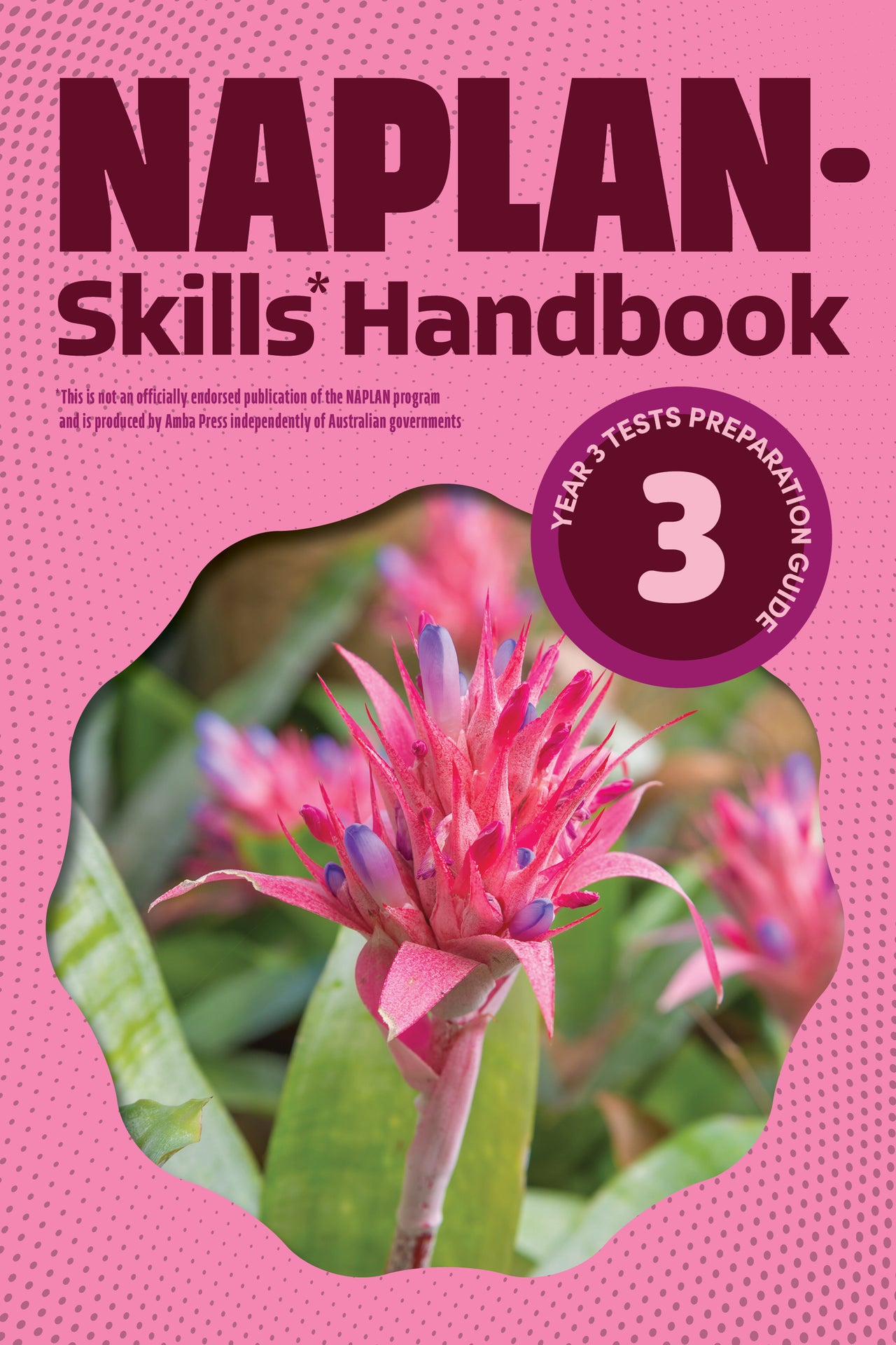 NAPLAN-Skills* Handbook 3