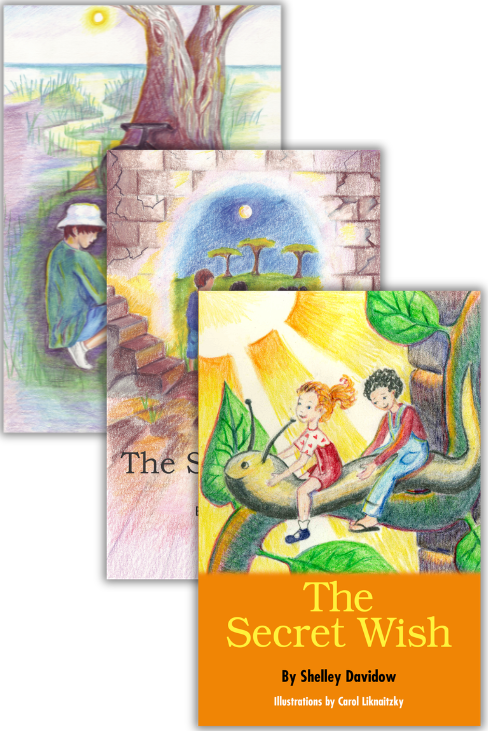 The Secret Series: Shelley Davidow chapter book bundle