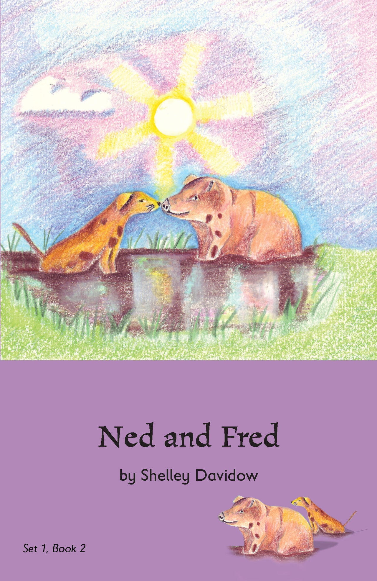 Early Phonetic Readers by Shelley Davidow bundle