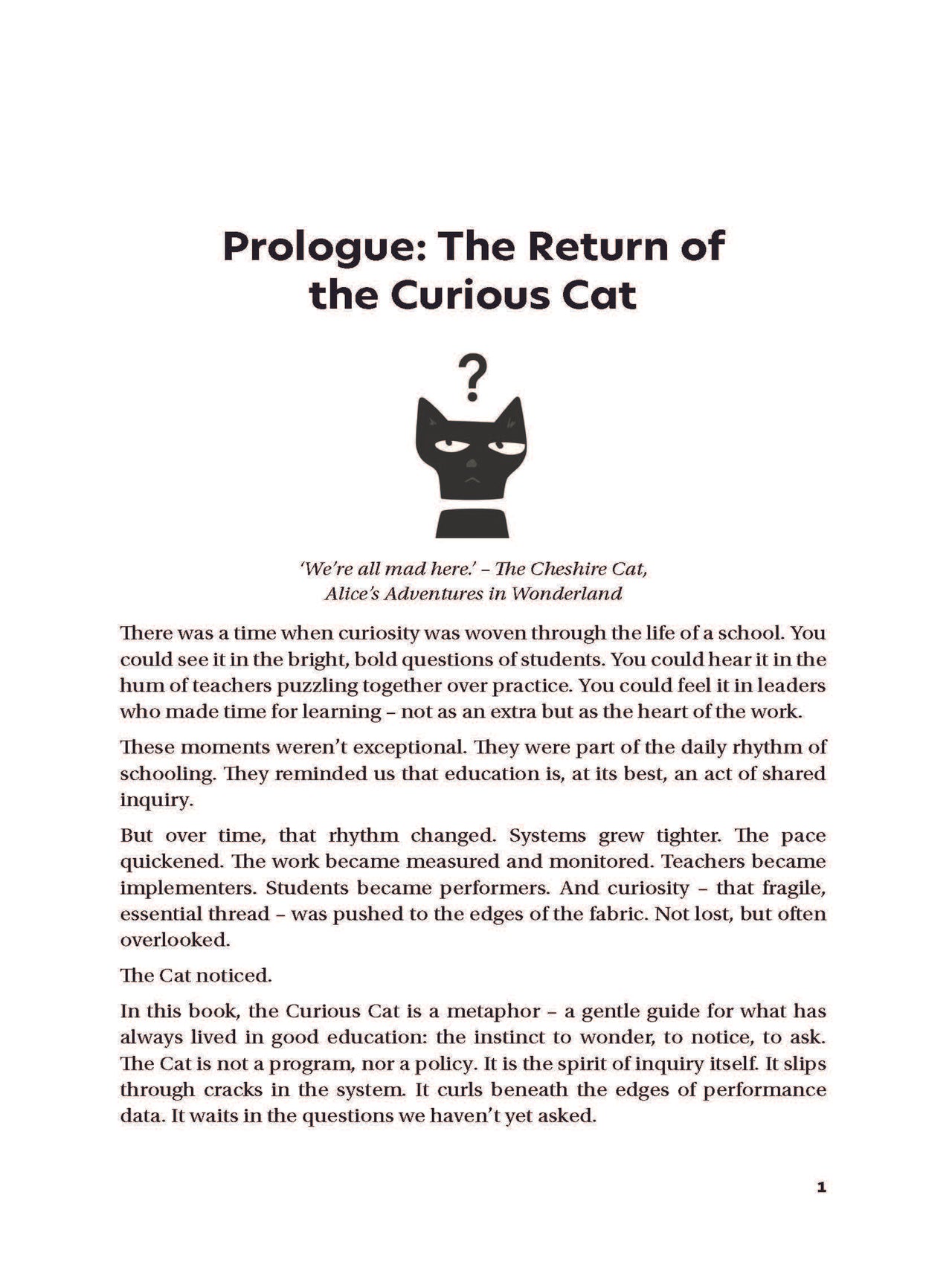 The Curious Cat and the Quest for School Improvement